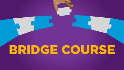 Bridge Course